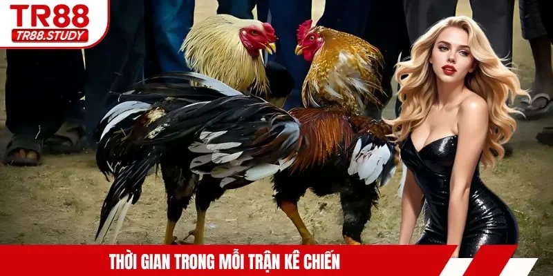 Thời gian trong mỗi trận kê chiến
